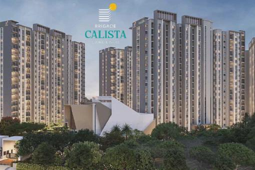 Image of Brigade Calista