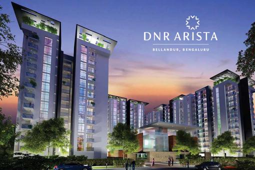 Image of DNR Arista